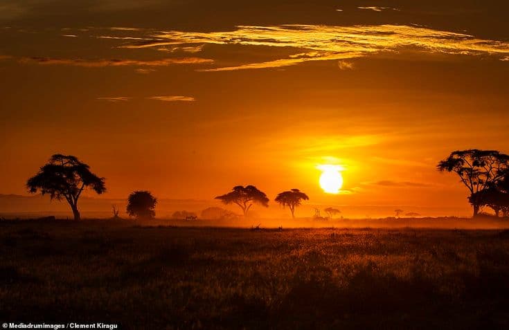 7 Days Mara, Nakuru, Naivasha & Amboseli Group Safari