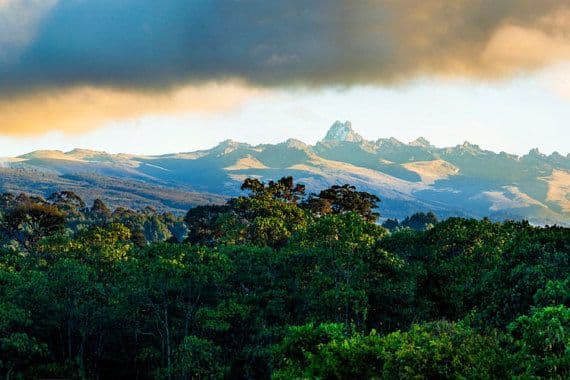 5 Days Mara, Lake Nakuru & Naivasha Group Safari