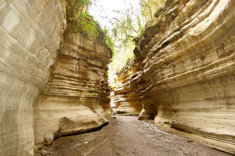 Hells Gate & Lake Naivasha Luxury Safari