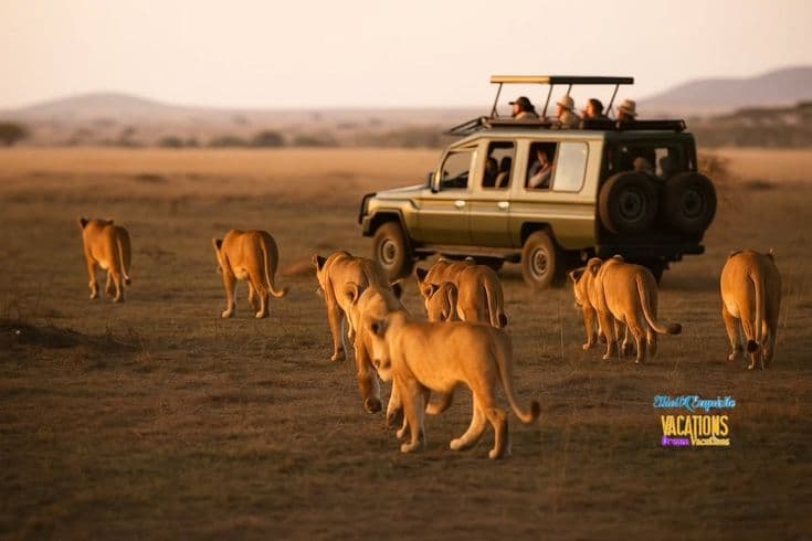 African safari landscape 4