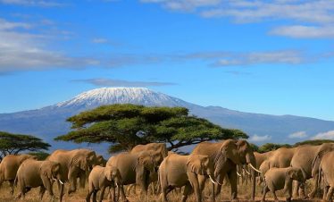 3 Days Amboseli National Park