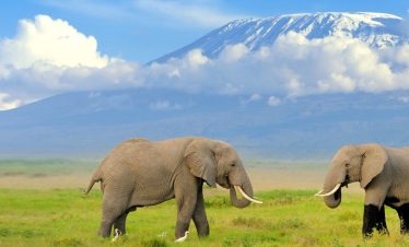 3 Days Amboseli National Park