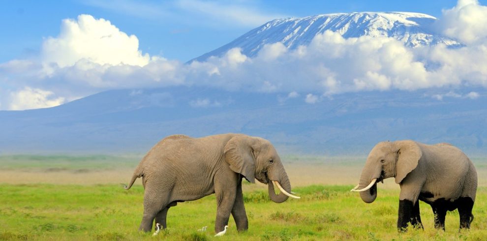 3 Days Amboseli National Park