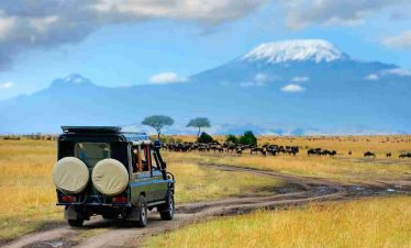 3 Days, 2 Nights Ngorongoro Crater Safari