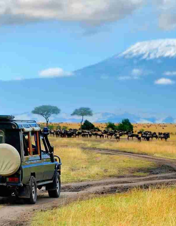3 Days, 2 Nights Ngorongoro Crater Safari