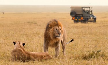 Masai-mara-safari_