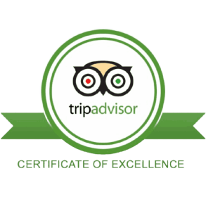 Tripadvisor_Readysetsafaris-removebg-preview_11zon