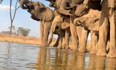 5 Days Lake Manyara, Serengeti & Ngorongoro Safari