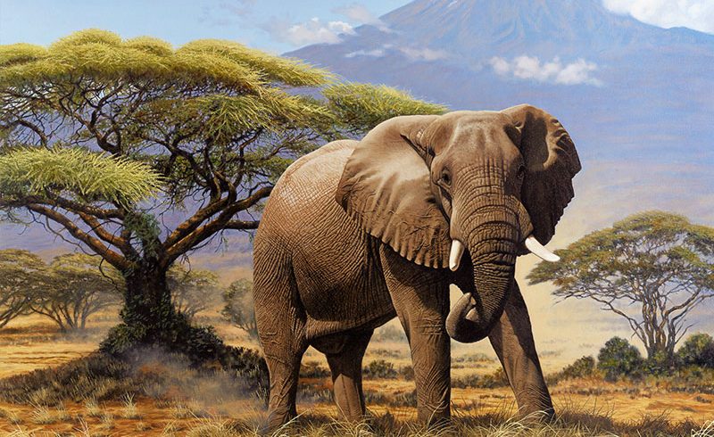 3 Days Samburu National Reserve Lodge Safari – Kenya Tour