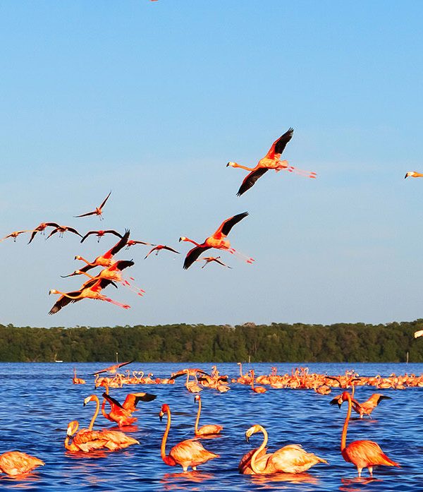 Kenya Safaris Budget Camping